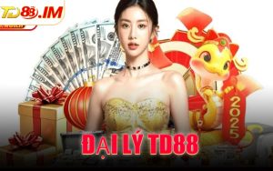 Đại Lý TD88