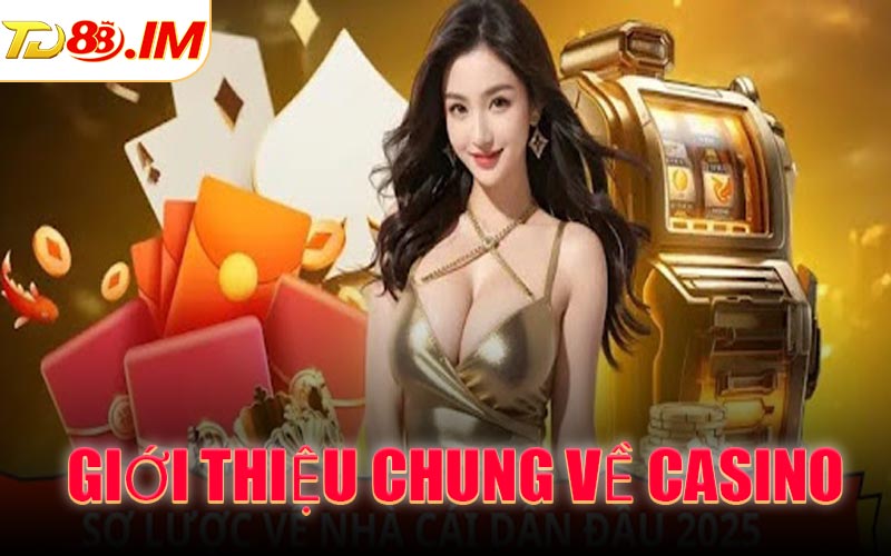 Giới thiệu chung về Casino