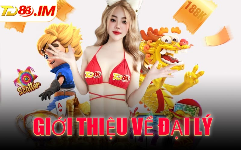 Giới thiệu về đại lý